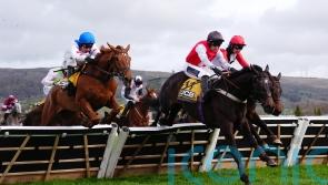 Apolon De Charnie stuns Cheltenham crowd with 50-1 shock in Triumph Hurdle