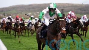 Wilful by far the best in County Hurdle for Jonjo and A J O&rsquo;Neill