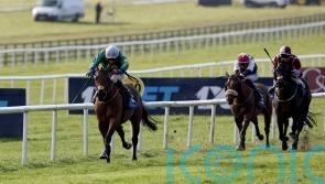 Ribee makes light work of Lincolnshire opposition