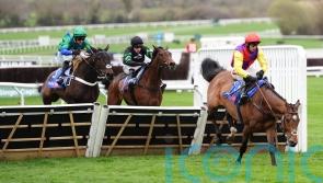 Sober Glory bidding for Supreme compensation at Aintree