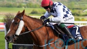 Joseph O&rsquo;Brien eyeing up National bid for Banbridge