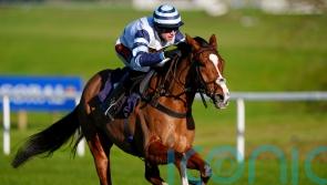 Derham thinking of Irish excursions with smart novices