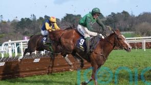 Talk The Talk done for the season as chasing career awaits