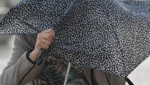 Warning of power outages and fallen trees in Limerick as Storm Agnes batters the country