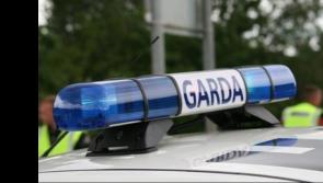 Limerick business targeted in late-night break-in as thieves gain entry through window