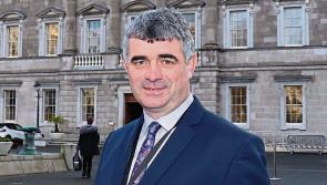 Limerick TD appointed to lead key D&aacute;il committee