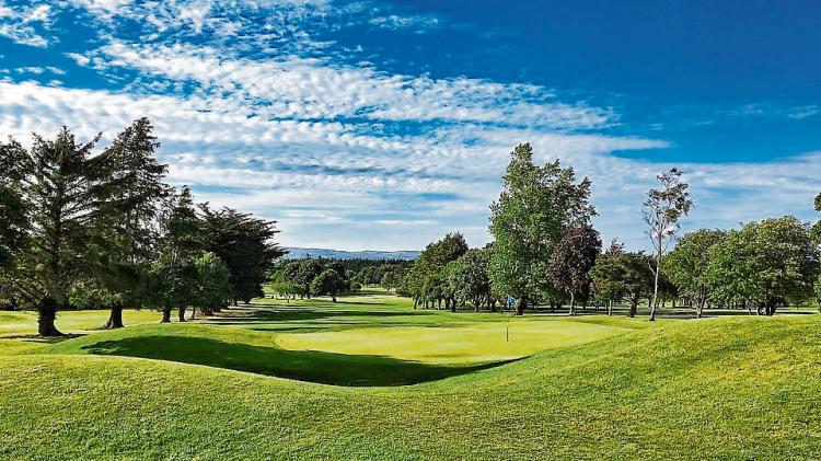 Almost time for tee-off as Limerick Civic Trust to host their annual golf classic