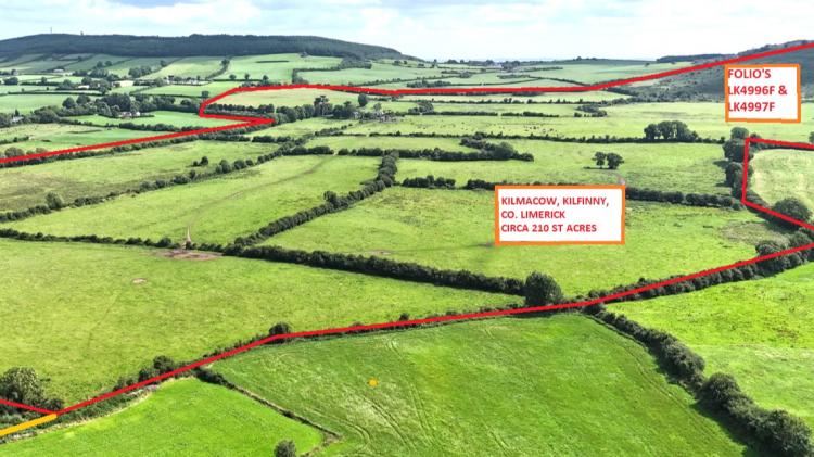 Dairy farmer wins the day at multimillion-euro auction of 210 acre Limerick farm