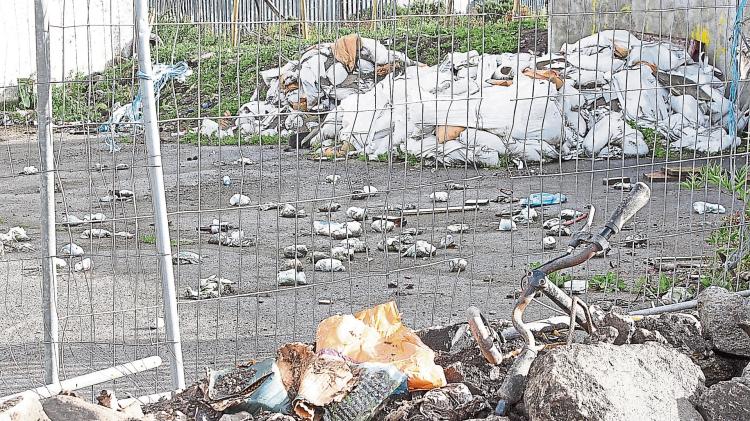 Cost of tackling illegal dumping across Limerick is revealed