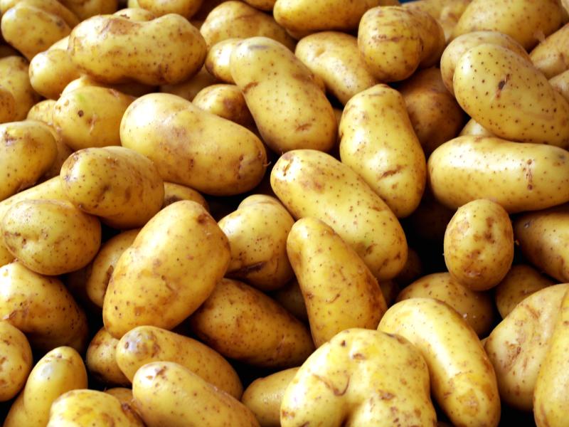 Louth IFA calls for support for potato growers on National Potato Day