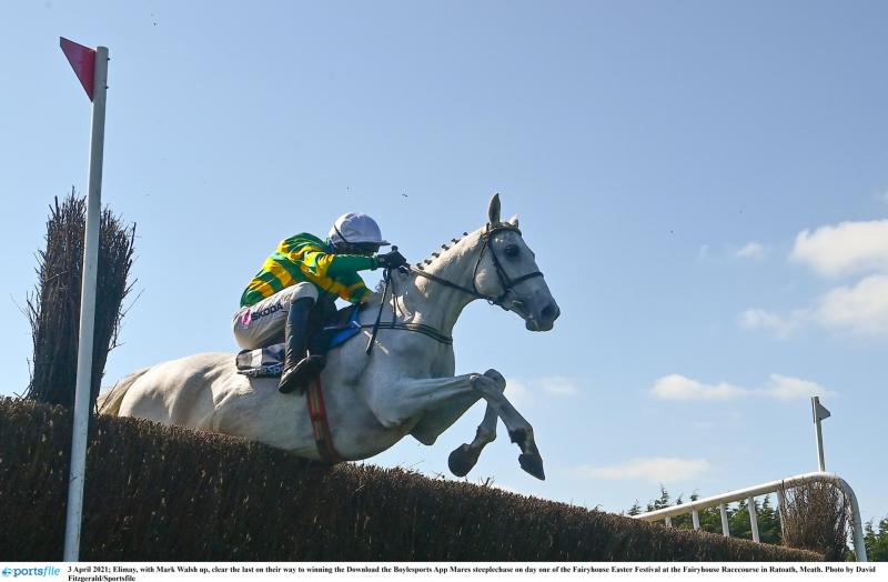 THE PUNTER'S EYE: Four horses worth a bet on New Year's Day