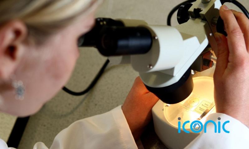 'Risky' virology research could have irreversible consequences for Earth, says UK paper