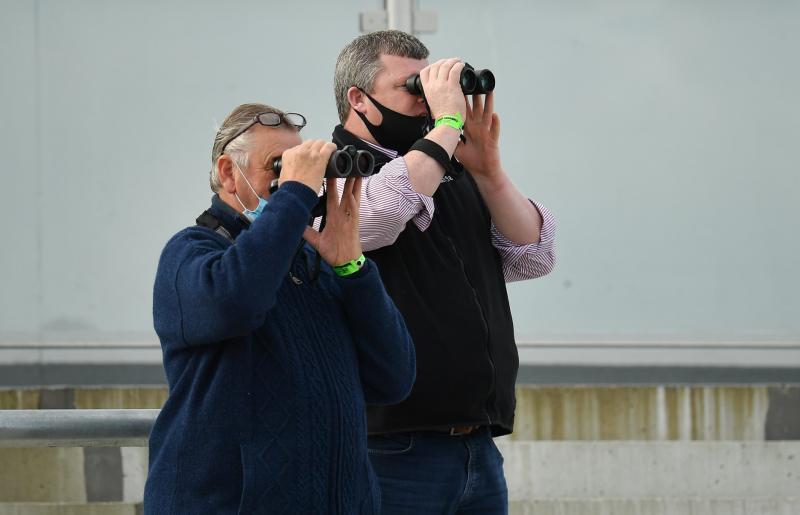 'I still get a fabulous buzz out of training winners' - Noel Meade still eyeing winners at Punchestown 