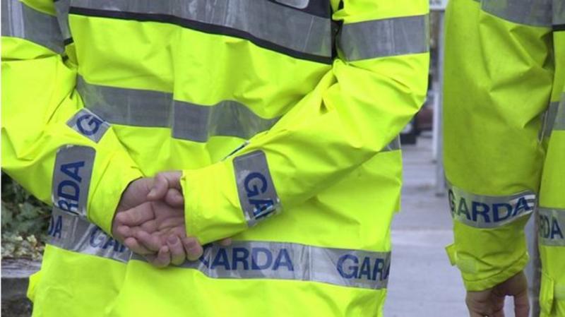 Elderly woman killed in tragic two-car crash in Meath sparks witnesses appeal