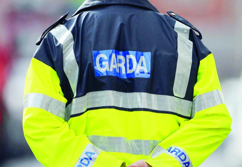 Garda extradition unit arrests 12 fugitives connected with drugs and murder offences 