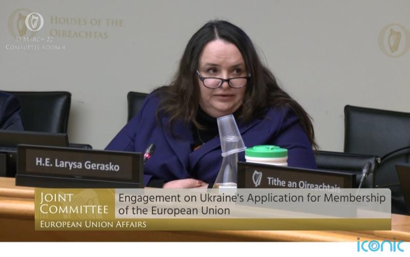 'It's time to act' - List of Irish companies continuing trade with Russia sent to Foreign Affairs Dept