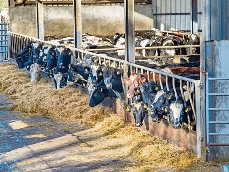 Soaring agriculture costs revealed as fertiliser and feed  costs rise dramatically 