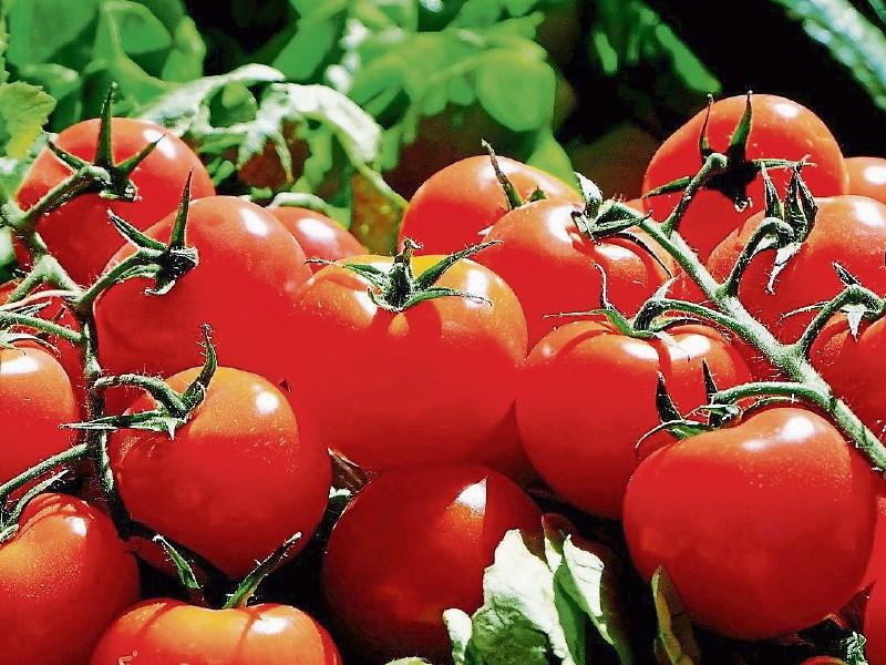 IFA warns of shortage of fruit and vegetables due to rising fuel costs 