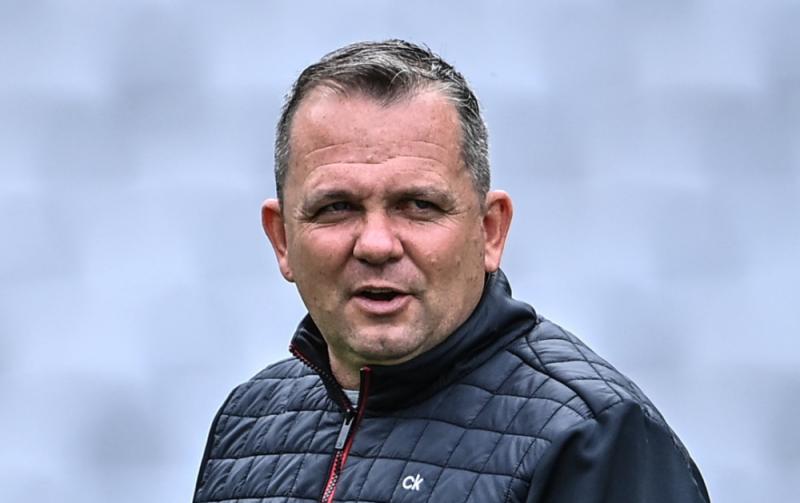 Davy Fitzgerald departs camogie coaching role