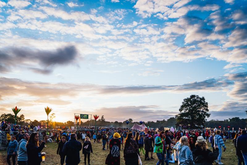 Details of Electric Picnic's vibrant Freetown released