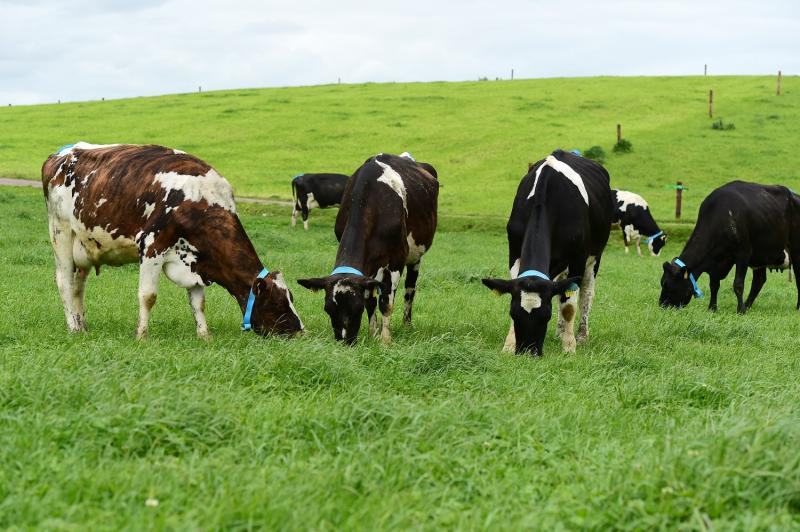 IFA hits out at proposals to hit farm land with residential tax 