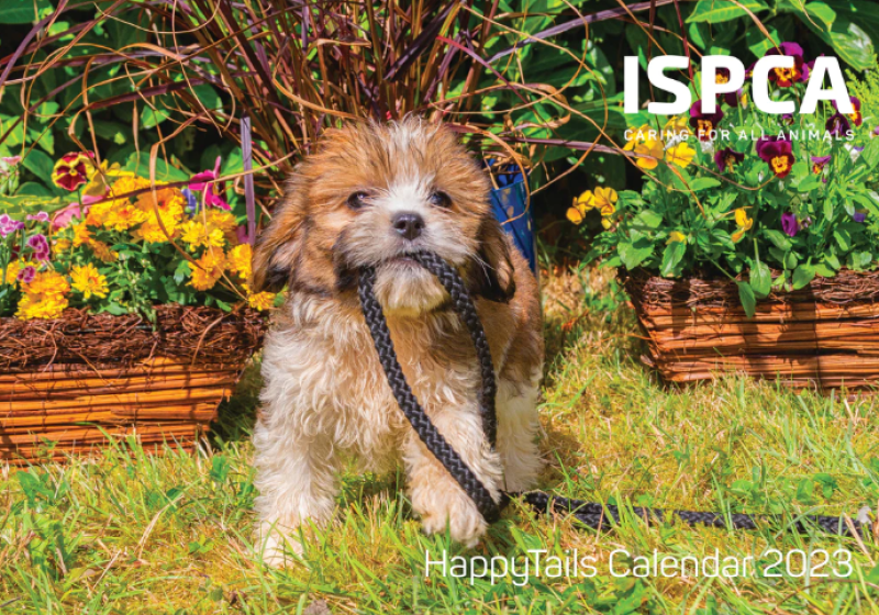 ISPCA launches 2023 calendar to raise money for animals in need
