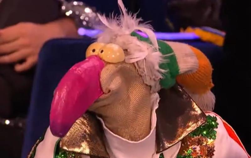 TWITTER REACTS: Dustin the Turkey makes a surprise appearance at Eurovision 2023 in Liverpool