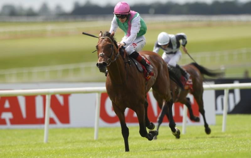 RESULTS: Irish Derby day racing results from the Curragh - all you need to know!