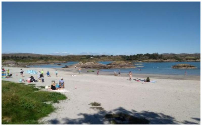 Public warned to stay away from popular Cork beach due to rodent infestation
