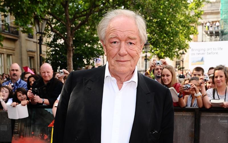 Harry Potter stars lead tributes to Irish actor Michael Gambon who played Albus Dumbledore