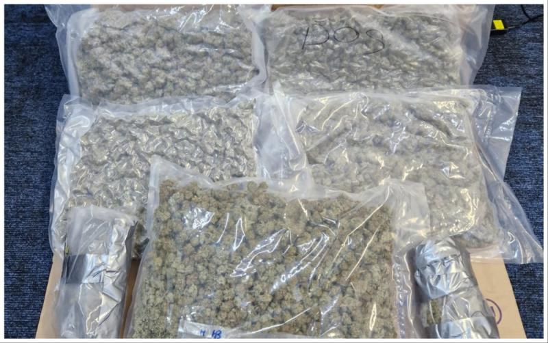Man arrested after garda&iacute; conduct cannabis bust valued at &euro;120k