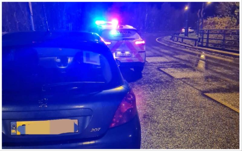 Garda&iacute; halt and seize car of speeding learner driver on busy motorway
