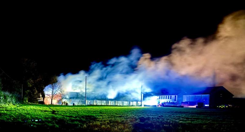 Opinion: Ireland isn't 'full', but the far-right is full of hypocrites