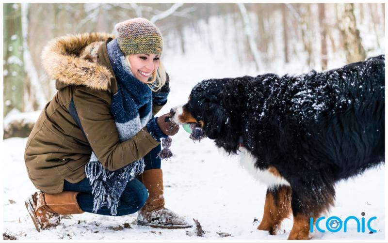 EXPLAINER: How to protect your dog on cold winter walks 