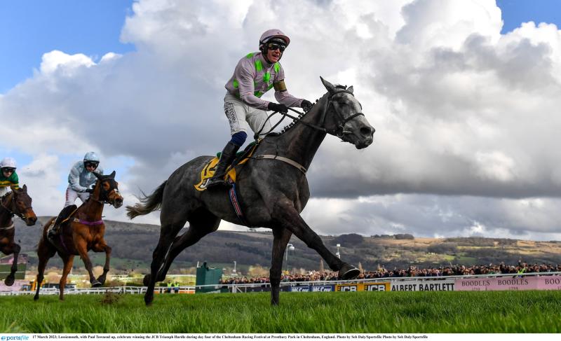 The &euro;10 Cheltenham tips accumulator that could win you &euro;250
