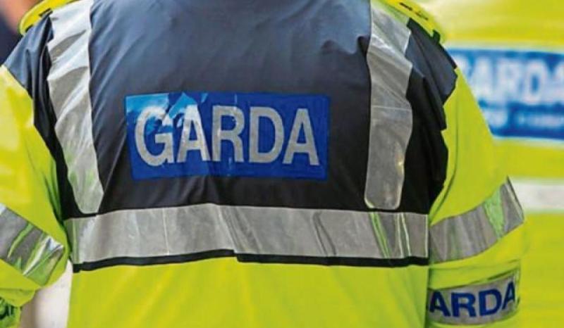 Two men arrested following seizure of 120kg of cannabis in Co Meath