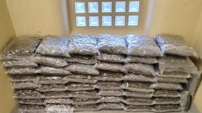 Garda&iacute; seize &euro;1m worth of vacuum-packed cannabis from warehouse in Meath