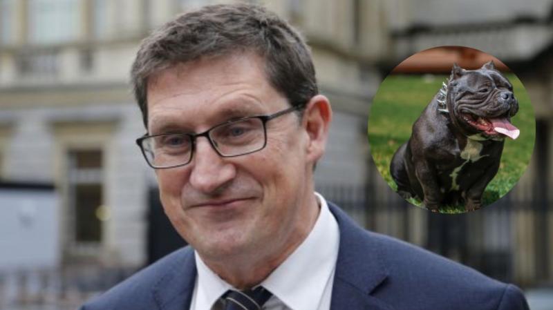 'See a dog like that coming, you're scared' - Minister Eamon Ryan on ban of XL Bullies