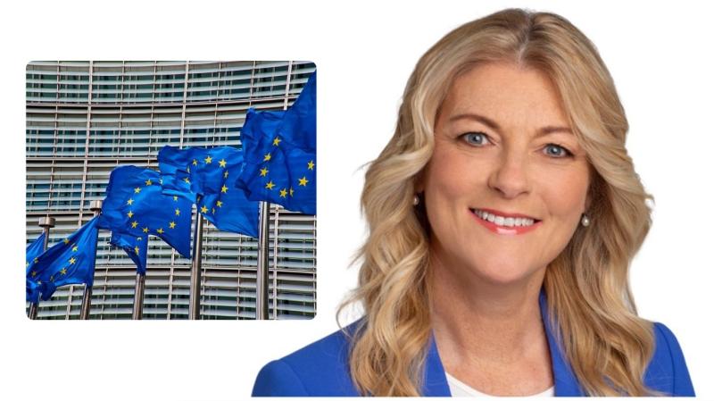 'Don't ditch radio from new cars' Ireland MEP N&iacute; Mhurch&uacute; to ask car manufacturers