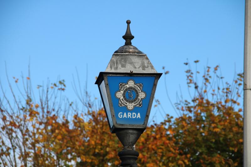 Garda&iacute; appeal for witnesses as man killed after car enters canal 