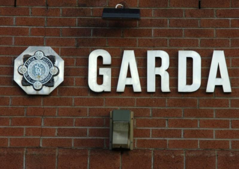 Man arrested as garda&iacute; crack down on retail thefts by Eastern European organised crime gang