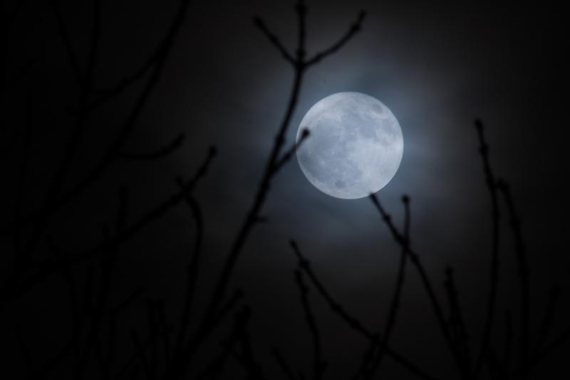 How and when to see tonight's 'extremely rare' blue supermoon visible in Irish skies