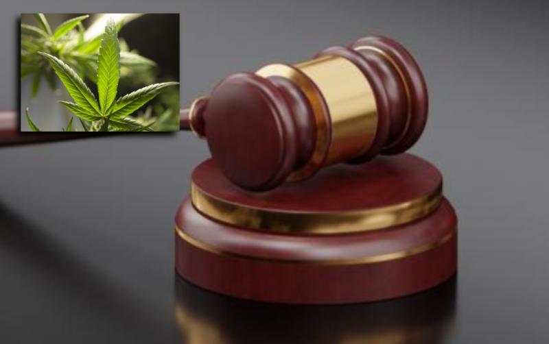 Man jailed for converting his property into a 'sophisticated' cannabis grow-house