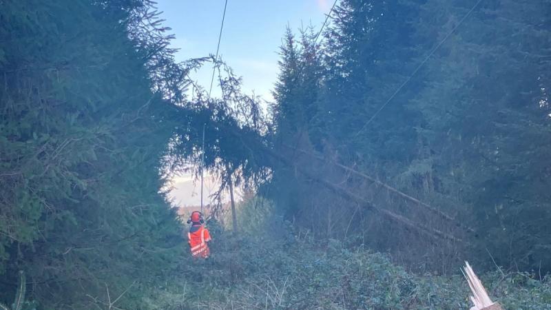 ESB restores power to 340,000 customers impacted by Storm Darragh
