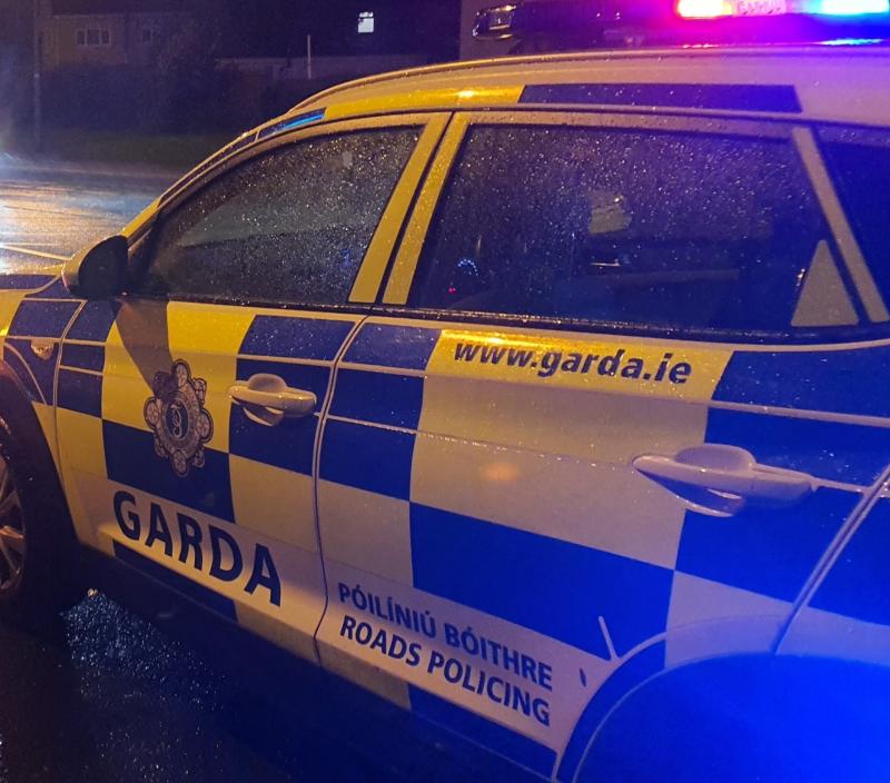 Gardai appeal for witnesses after elderly man dies from injuries sustained in road crash