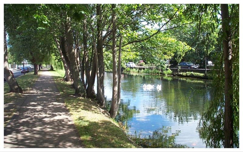 BREAKING: Body of man discovered in Grand Canal in Dublin