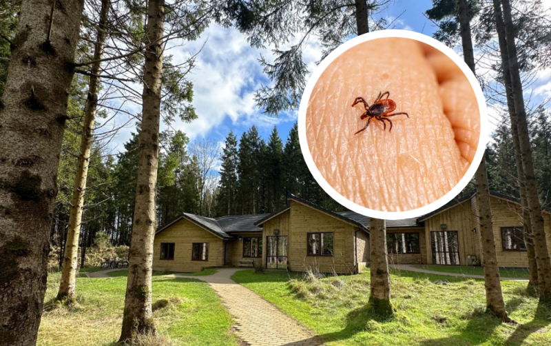 ALERT: Irish holidaymakers warned against wearing sandals amid disease fears