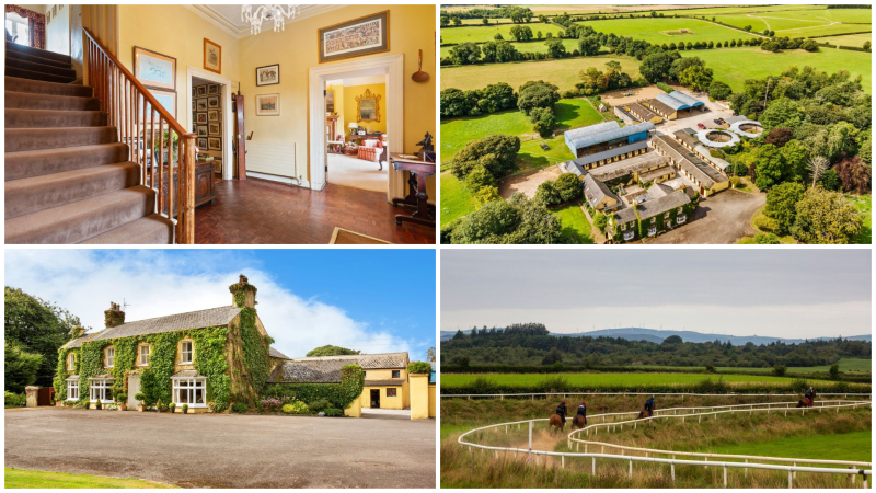Well-known horse trainer&rsquo;s home and race track goes up for millions in Tipperary 