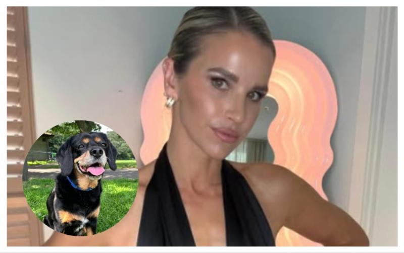 'He was always there for us' - Vogue Williams posts tribute after death of beloved family member