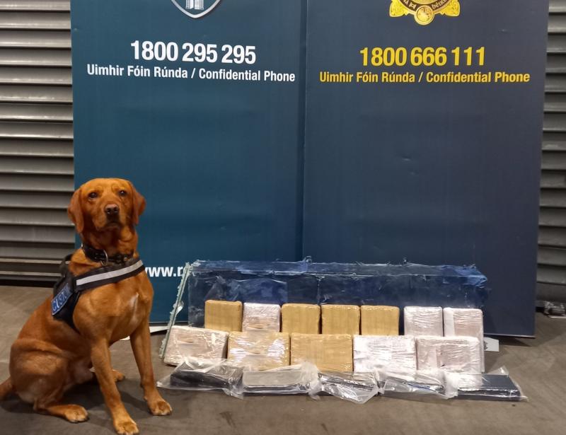 Sniffer dog helps gardai seize large quantity of cocaine